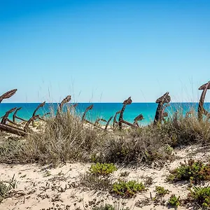 Pedras D'el Rei 3* Tavira